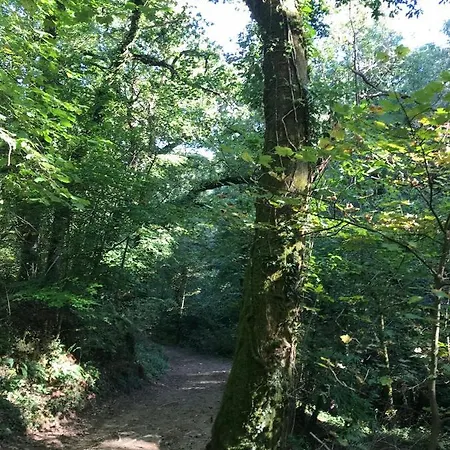 Holiday home Acorn - Oak View Lodges - Pet Friendly *
